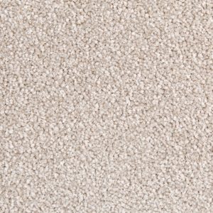Areabo Office Carpets