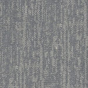 BCM - Autumn - 05
