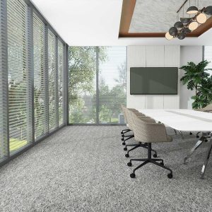 Carus 1010 Office Carpets