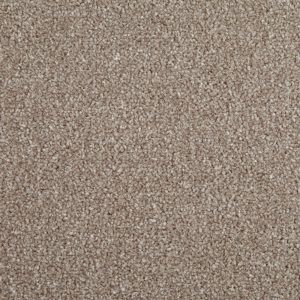 Elite Cookie Office Carpets