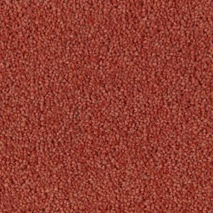 Homestead Office Carpets