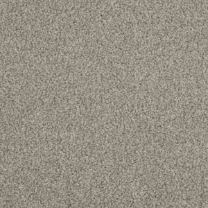 Lava Stone Office Carpets