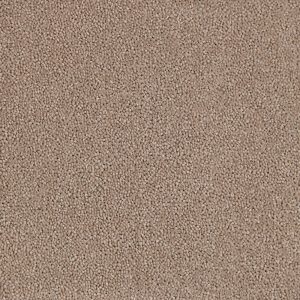 Porpoise Office Carpets